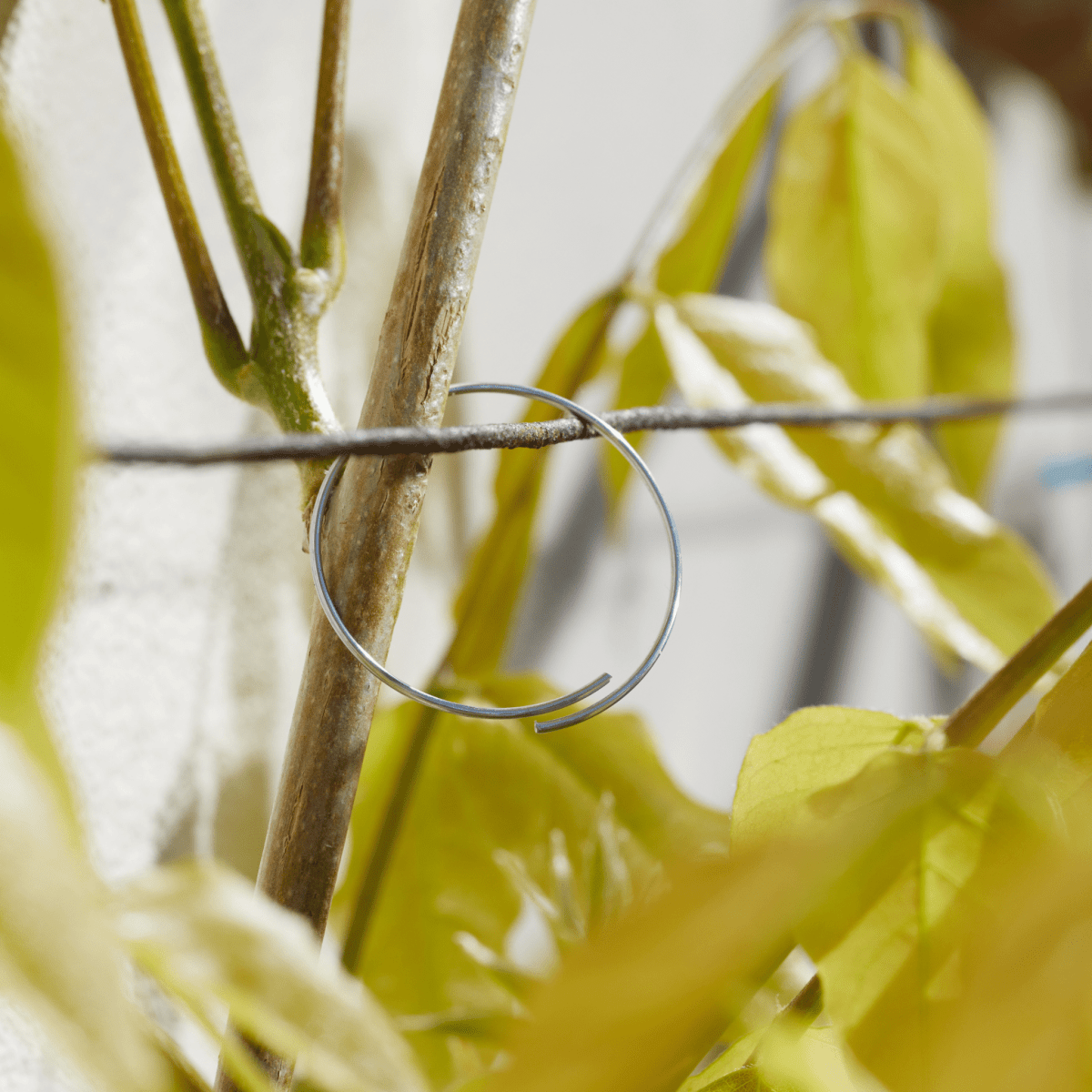 Galvanised Plant Rings 25cm 100 Pack, Strong Metal Plant Supports for Trees and Stems - Dandys Landscape Supplies