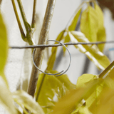 Galvanised Plant Rings 25cm 100 Pack, Strong Metal Plant Supports for Trees and Stems - Dandys Landscape Supplies
