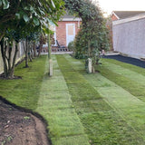 Grass Parking Grids - Dandys Landscape Supplies