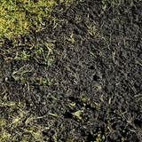 Green Again Lawn Reviver - Dandys Landscape Supplies