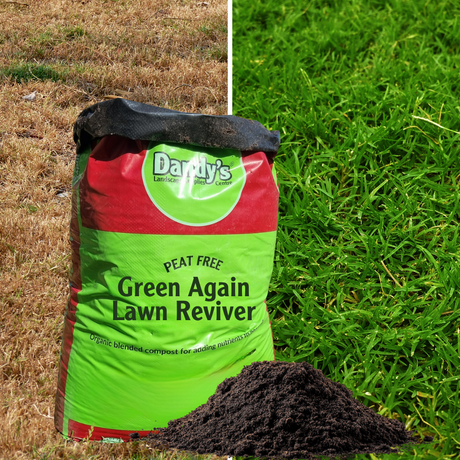 Green Again™ Lawn Reviver - Dandys Landscape Supplies
