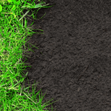 Green Again Lawn Reviver - Dandys Landscape Supplies