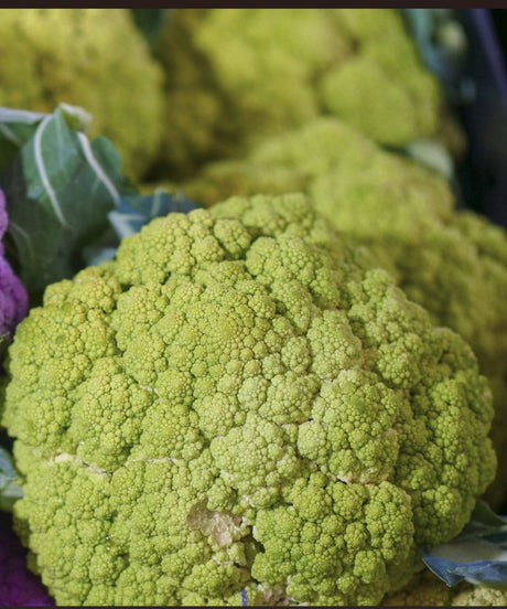 Green Cauliflower Plug Plants "Grow Your Own" Vegetables **Letterbox Friendly** - Dandys Landscape Supplies