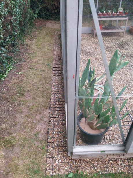 Greenhouse Base Kits - Dandys Landscape Supplies