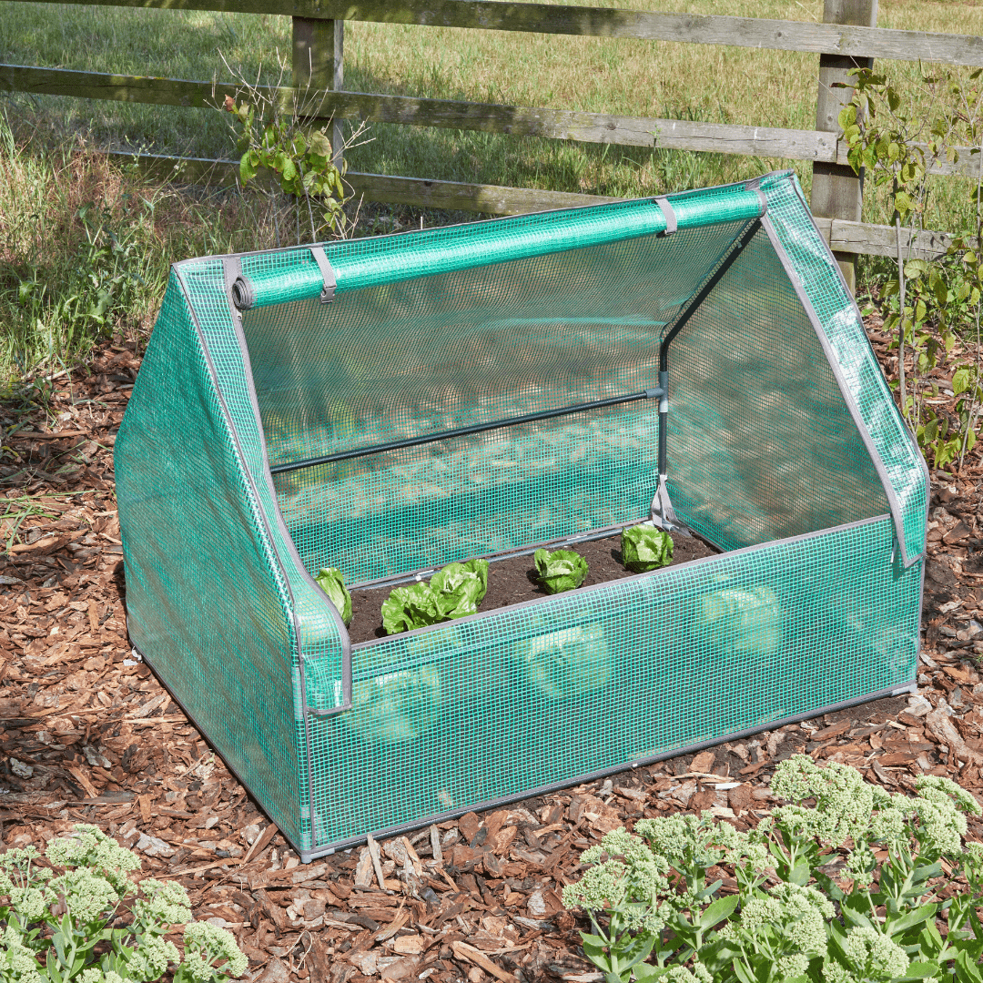 GroCloche Cold Frame, 1.24m x 0.94m x 0.93m - Dandys Landscape Supplies