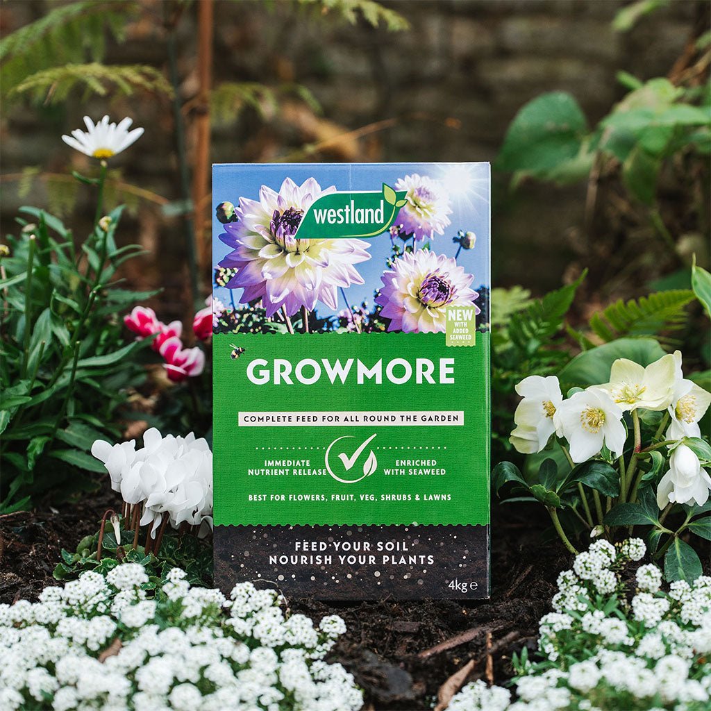 Growmore 4kg - Dandys Landscape Supplies