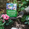Growmore 4kg - Dandys Landscape Supplies