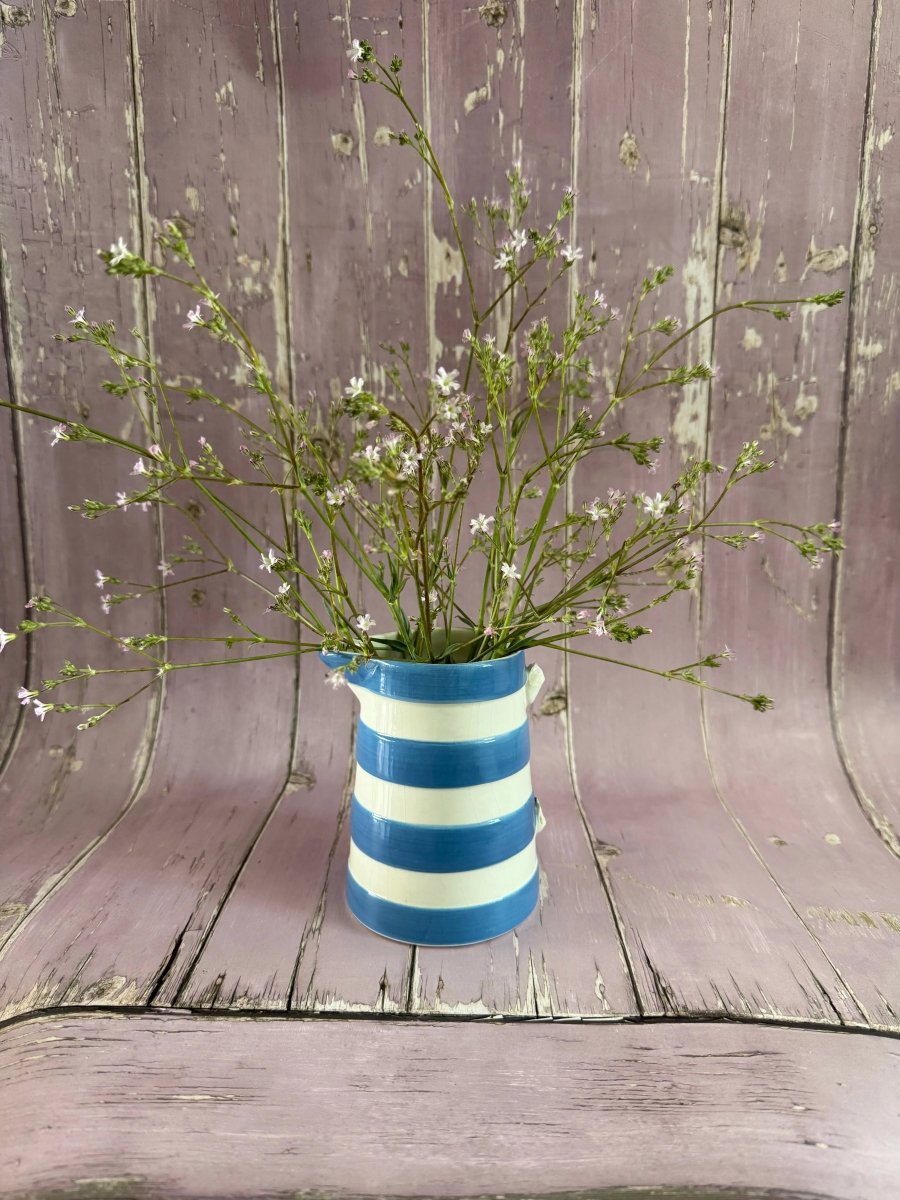 Gypsophila elegens Pink Seeds - Dandys Landscape Supplies