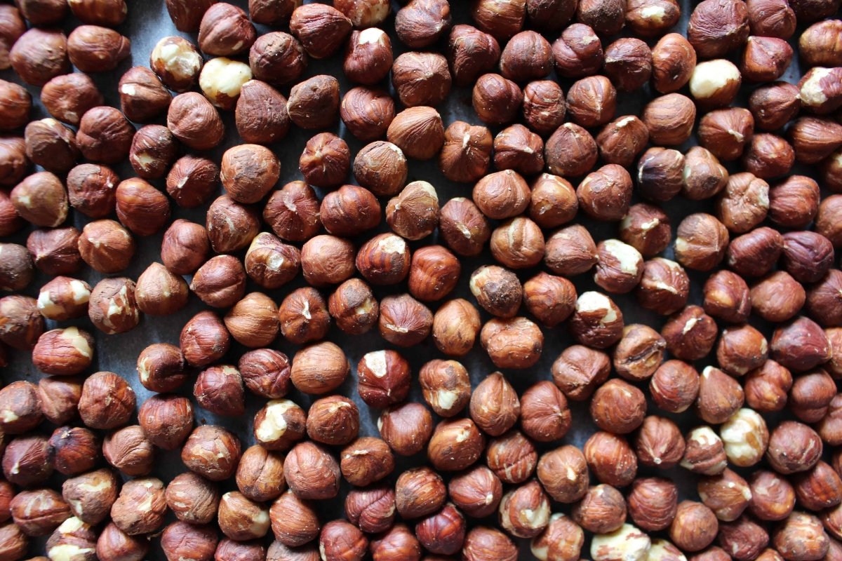 HazelHex 10kg Briquettes - Recycled Hazelnut Shell - Dandys Landscape Supplies