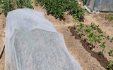 InsectoNet Plastic Free Netting - Dandys Landscape Supplies
