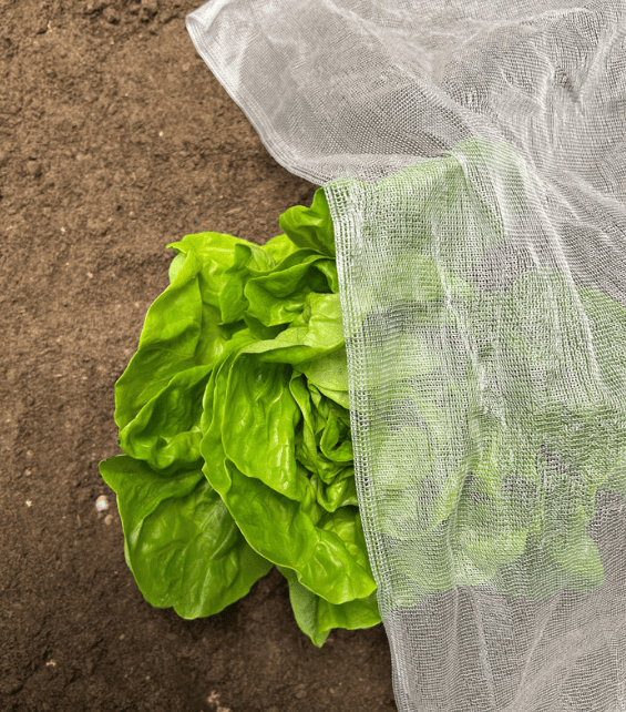 InsectoNet Plastic Free Netting - Dandys Landscape Supplies