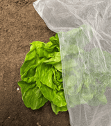 InsectoNet Plastic Free Netting - Dandys Landscape Supplies