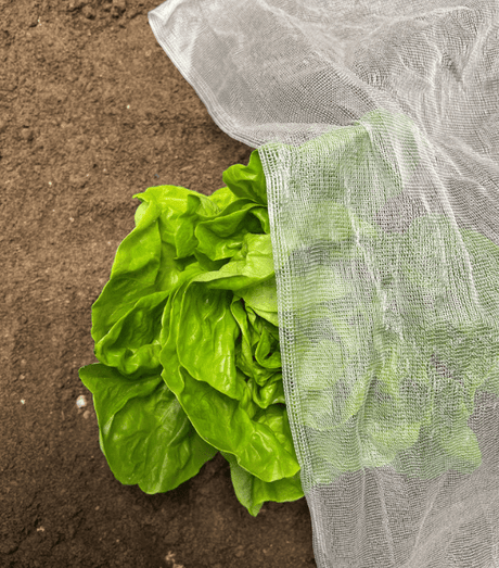 InsectoNet Plastic Free Netting - Dandys Landscape Supplies