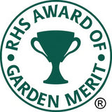 Ipomoea Heavenly Blue Seeds - Dandys Landscape Supplies