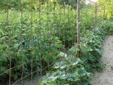 Jute Rope Net 60cm x 180cm, Natural Plant Support Netting for Climbing Plants - Dandys Landscape Supplies