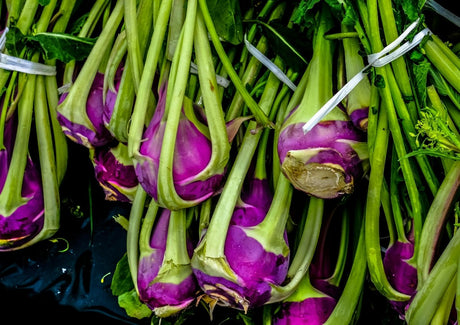 Kohlrabi Red Plug Plants - "Grow Your Own" Vegetables **Letterbox Friendly** - Dandys Landscape Supplies