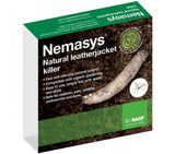 Leatherjacket Nematodes - Dandys Landscape Supplies