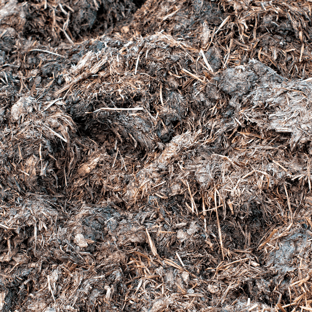 Horse and Chicken Manure / Mushroom Compost Sample - Dandy's Topsoil & Landscape Supplies