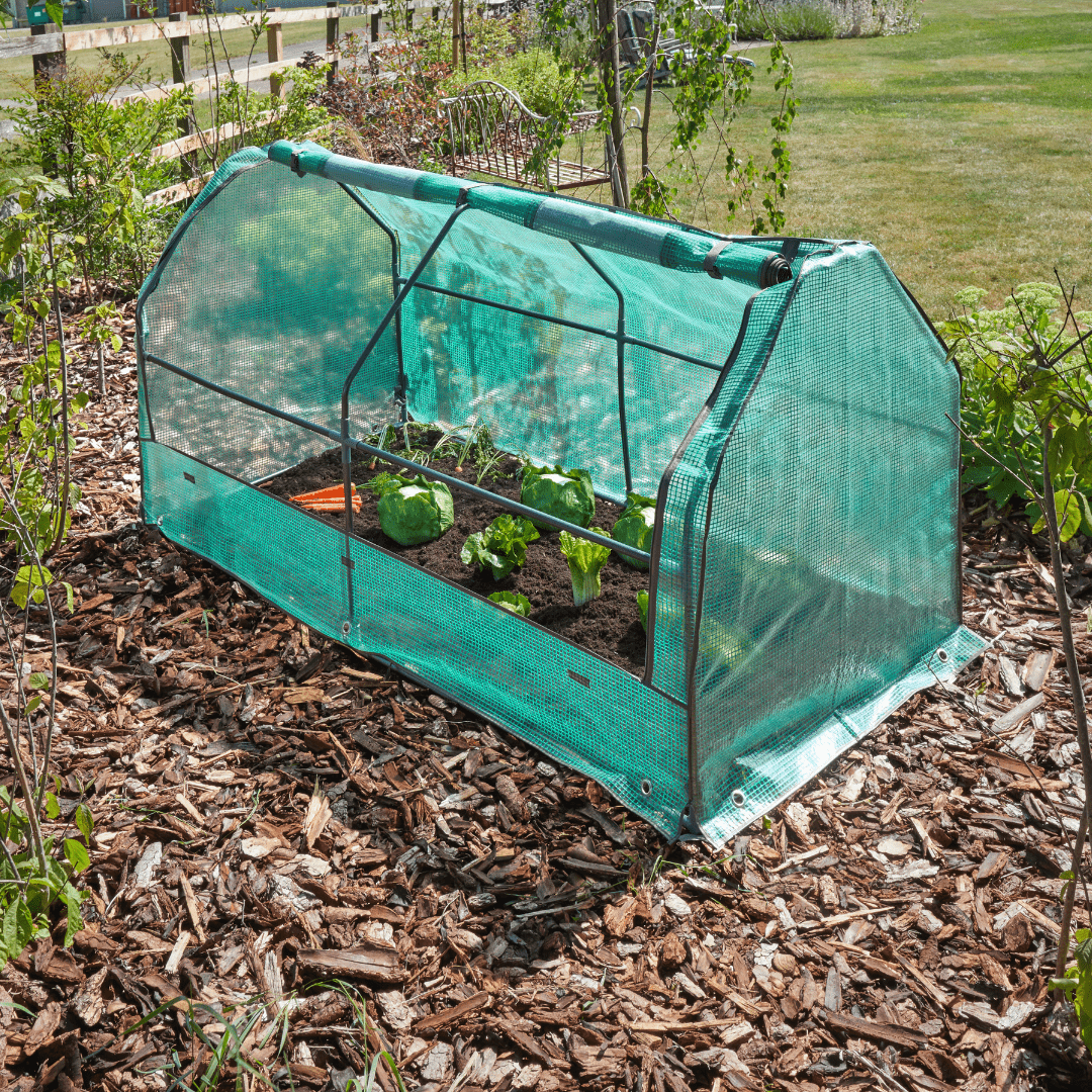 Max GroCloche Cold Frame, 1.8m x 0.92m x 0.90m - Dandys Landscape Supplies