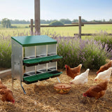 Metal Chicken Nest Box – Sturdy, Hygienic & Organised - Dandys Landscape Supplies