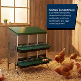 Metal Chicken Nest Box – Sturdy, Hygienic & Organised - Dandys Landscape Supplies