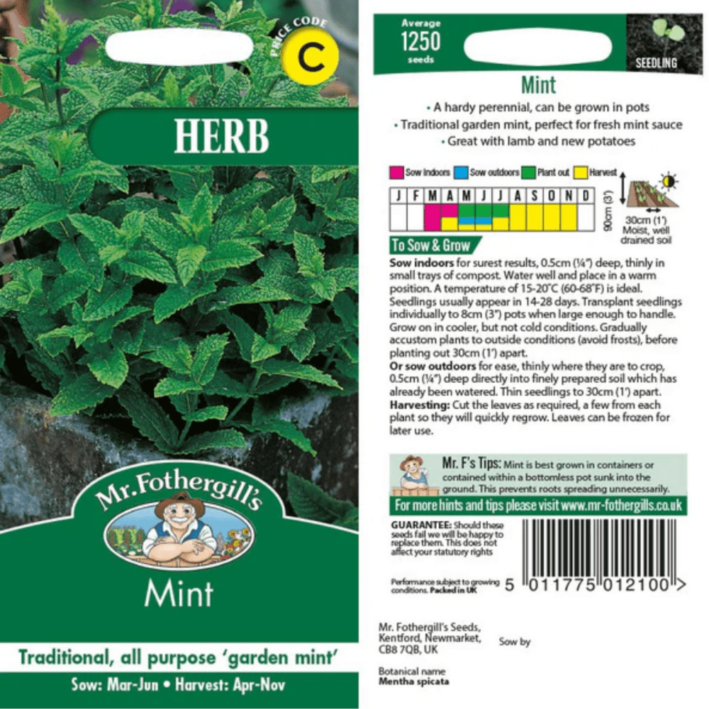 Mint Herb Seeds - Dandys Landscape Supplies