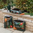 Multi - Planter Veg Compost 40ltr Handy Bag - Dandys Landscape Supplies