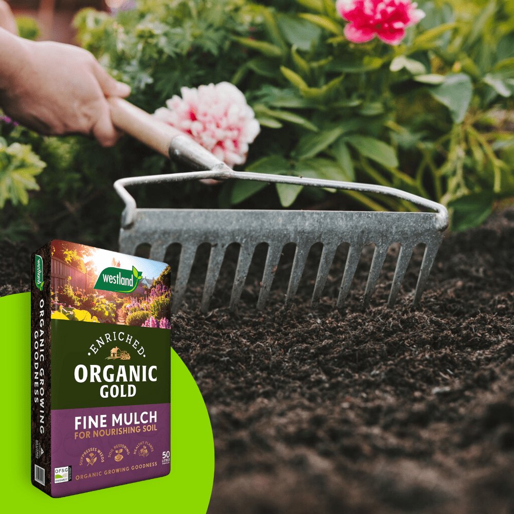 Organic Gold Fine Mulch 50ltr Handy Bag - Dandys Landscape Supplies