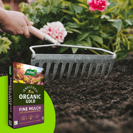 Organic Gold Fine Mulch 50ltr Handy Bag - Dandys Landscape Supplies