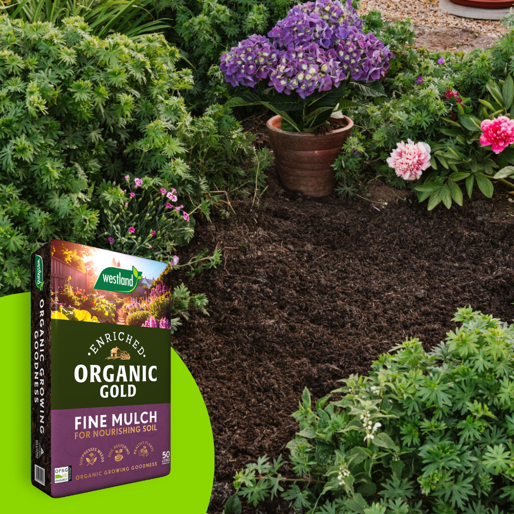 Organic Gold Fine Mulch 50ltr Handy Bag - Dandys Landscape Supplies