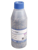 Orius Thrips Killer - Dandys Landscape Supplies