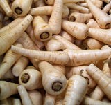 Parsnip Plug Plants "Grow Your Own" Vegetables **Letterbox Friendly** - Dandys Landscape Supplies