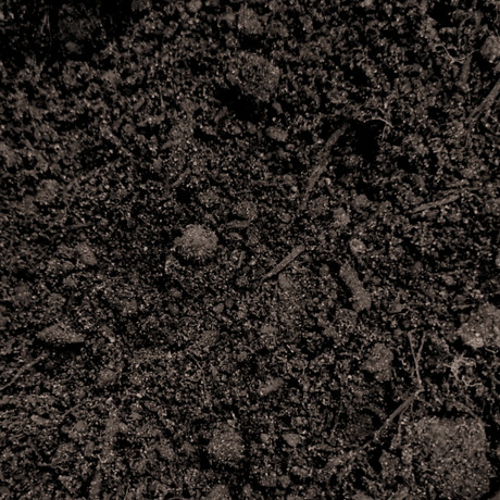 Premium Multi Purpose Compost 0 - 10mm - Dandys Landscape Supplies