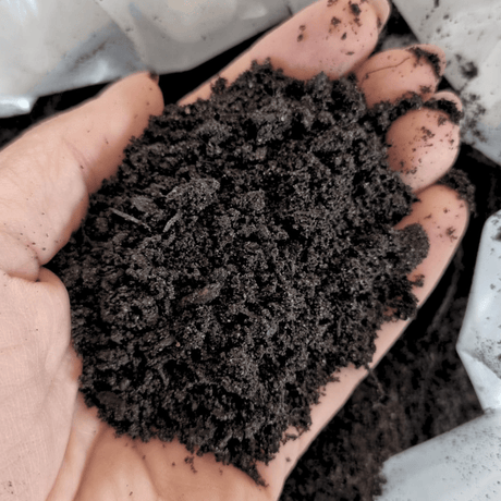 Premium Multi Purpose Compost 0 - 10mm - Dandys Landscape Supplies