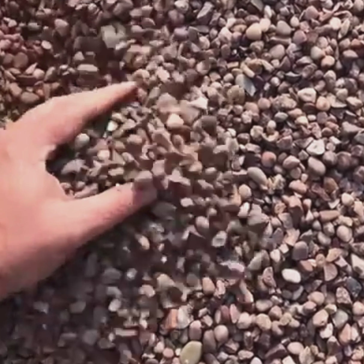 Pea Gravel