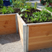 Dandy's Raised Bed Topsoil Mix for plants and flowers
