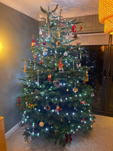 Dandys Real 7ft Christmas Tree