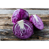 Red Cabbage Plug Plants - "Grow Your Own" Vegetables **Letterbox Friendly** - Dandys Landscape Supplies