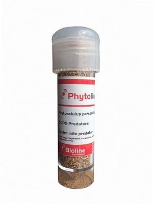 Red Spider Mite Killer (Phytoseiulus Persimilis) - Dandys Landscape Supplies