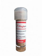 Red Spider Mite Killer (Phytoseiulus Persimilis) - Dandys Landscape Supplies