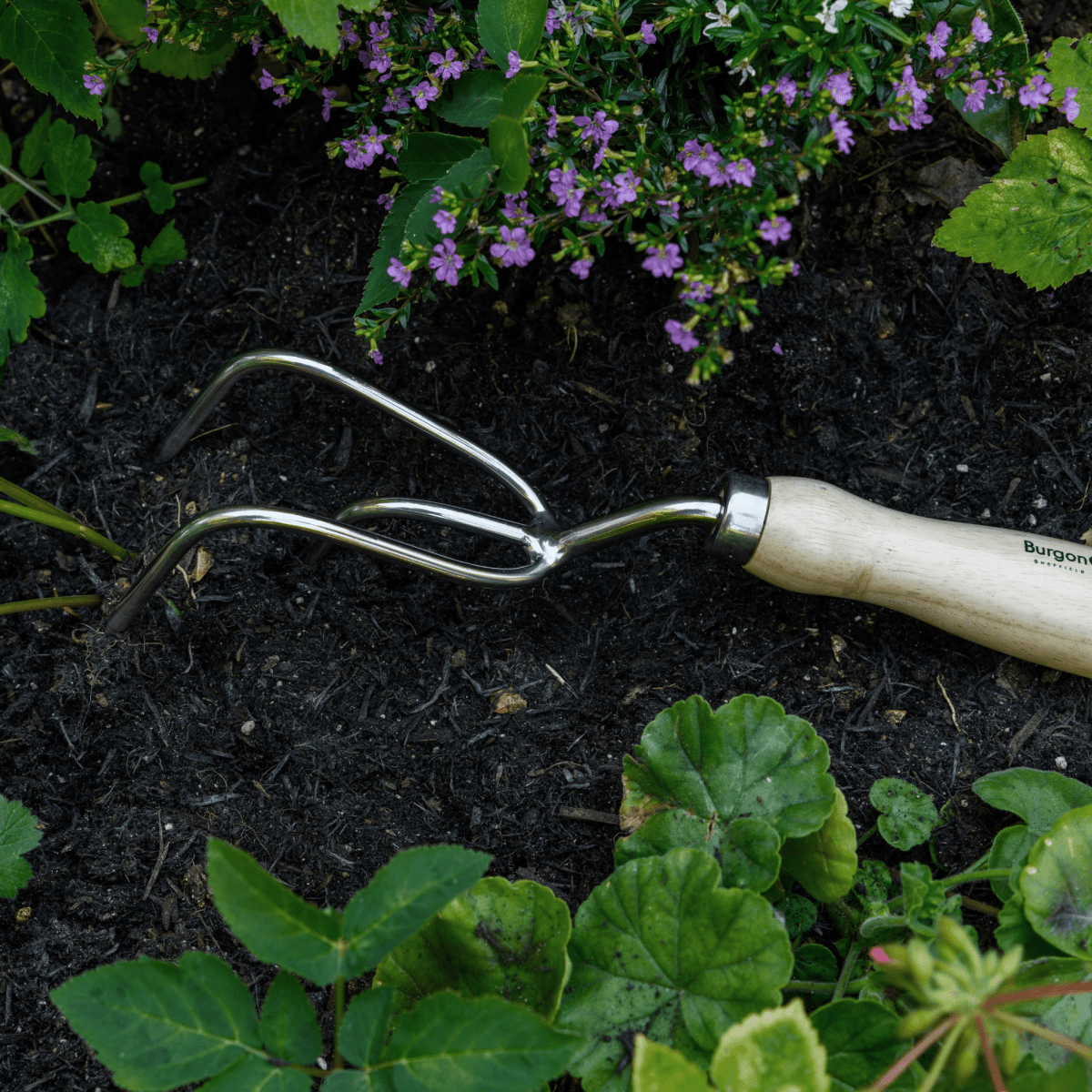 RHS Endorsed Stainless Steel Claw Cultivator by Burgon & Ball - Dandys Landscape Supplies