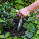 RHS Endorsed Stainless Steel Dibber by Burgon & Ball - Dandys Landscape Supplies