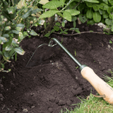 RHS Endorsed Stainless Steel Hand Hoe by Burgon & Ball - Dandys Landscape Supplies