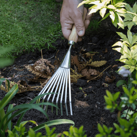 RHS Endorsed Stainless Steel Shrub Rake by Burgon & Ball - Dandys Landscape Supplies