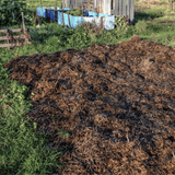 Spent Mushroom Compost Manure by Dandy's
