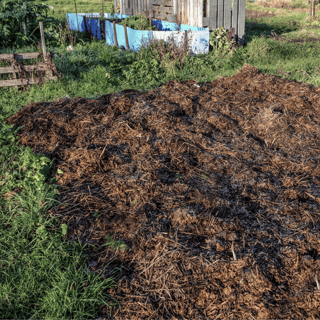 Spent Mushroom Compost Manure by Dandy's