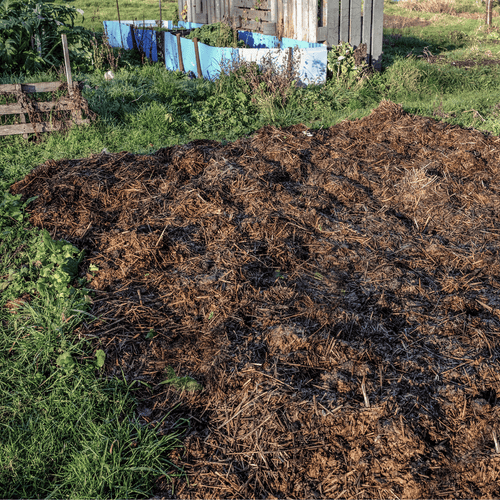 Spent Mushroom Compost Manure by Dandy's