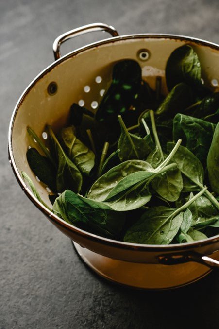 Spinach Plug Plants "Grow Your Own" Salads **Letterbox & Eco Friendly Packaging** - Dandys Landscape Supplies