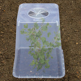 Square Cloche Cover 32cm – Recycled Plastic Cold Frame for Ground Protection | Garland - Dandys Landscape Supplies