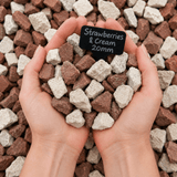 Strawberries and Cream Gravel Bulk Bag | Dandys 